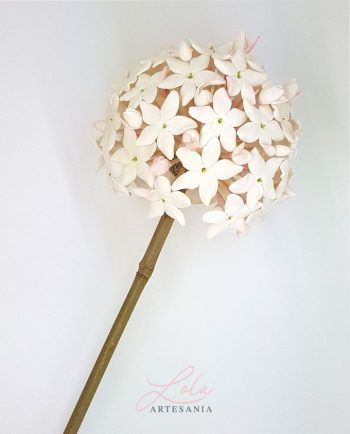 Biznaga Artesanal Grande