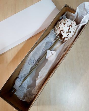 Biznaga Artesanal Grande con Caja