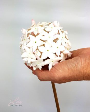 Biznaga Artesanal Mediana