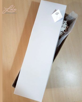 Biznaga Artesanal Mediana con Caja