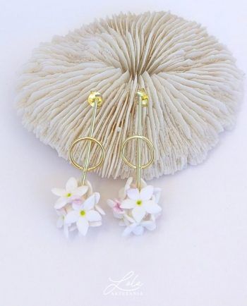 Pendientes Geométricos de Biznaga