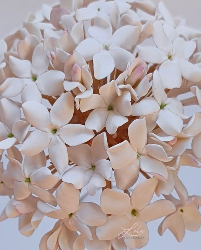 Biznaga Artesanal Jazmines varios estados - Imagen 7